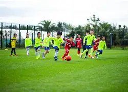 罗发声力挽,狂澜,阿莫林揭秘,j9,j9游会,九游会官网,九游会体育