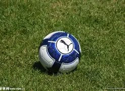 九游会,资讯,j9九游会,j9,j9游会,九游会官网,九游会体育