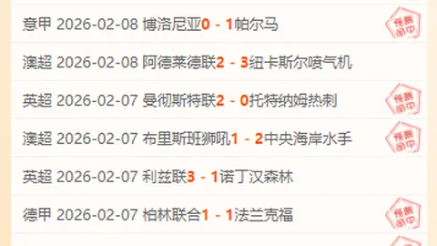 澳维甲今日全面分析：专家推荐大乐透期号策略